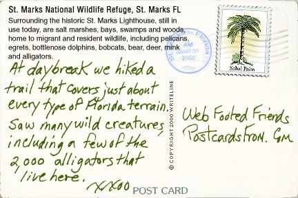 All images Copyright &copy; 1997 - 2000 WriteLine. All Rights Reserved.