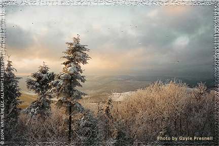 All images Copyright &copy; 1997 - 2001 WriteLine LLC. All Rights Reserved. 