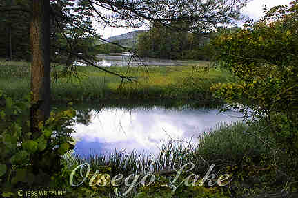 All images Copyright &copy; 1997 - 2000 WriteLine. All Rights Reserved.