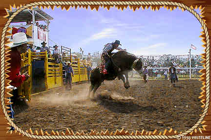 All images Copyright &copy; 1997 - 2000 WriteLine. All Rights Reserved. Cowboy and Bull