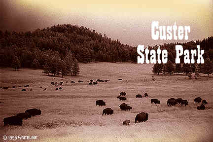 All images Copyright &copy; 1997 - 2000 WriteLine. All Rights Reserved. Bison home on the range