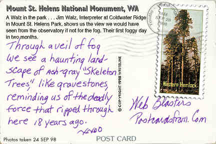 All images Copyright &copy; 1997 - 2000 WriteLine. All Rights Reserved. Western Hemlock postage stamp