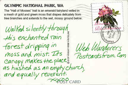 All images Copyright &copy; 1997 - 2000 WriteLine. All Rights Reserved. 