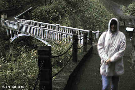 All images Copyright &copy; 1997 - 2000 WriteLine. All Rights Reserved. Arched bridge over waterfall