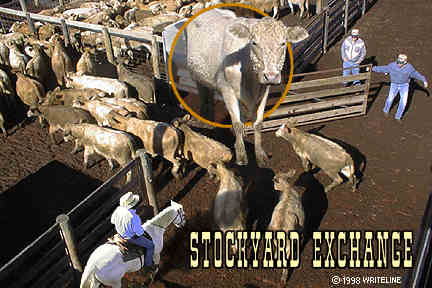 All images Copyright &copy; 1997 - 2000 WriteLine. All Rights Reserved. Cattle Corral