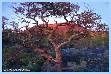 All images Copyright &copy; 1997 - 2000 WriteLine. All Rights Reserved. Sunset Crater