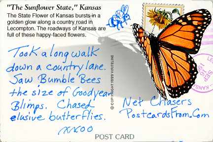 All images Copyright &copy; 1997 - 2000 WriteLine. All Rights Reserved. Monarch butterfly