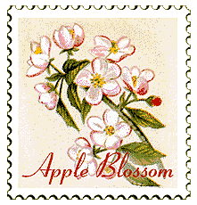 Copyright &copy; 1998 WriteLine. All Rights Reserved. Apple blossom
