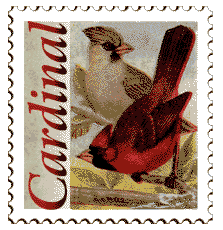 &copy; 1999 WriteLine. Cardinal