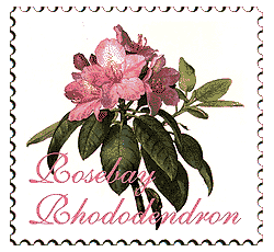 &copy; 1998 WriteLine. Rosebay Rhododendron