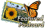 Featured button