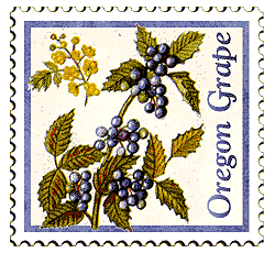 Copyright © 1998 WriteLine. All Rights Reserved. Oregon Grape